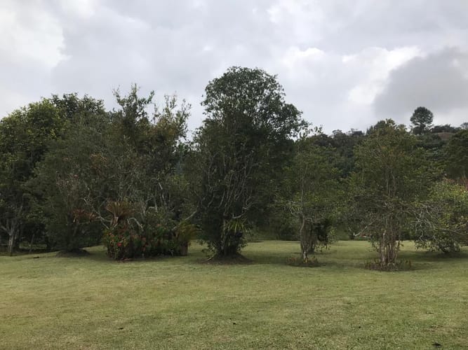 Casa de 3 alcobas en venta en Los Salados, El Retiro · foto 10 de 21