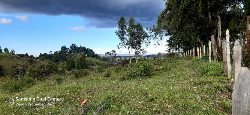 Lote en venta en Cabeceras De Llanogrande, Rionegro, 28422 m² · foto 5 de 11