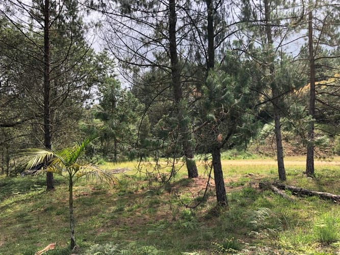 Lote en venta en Loma Del Escobero, Envigado, 8945 m² · foto 8 de 23
