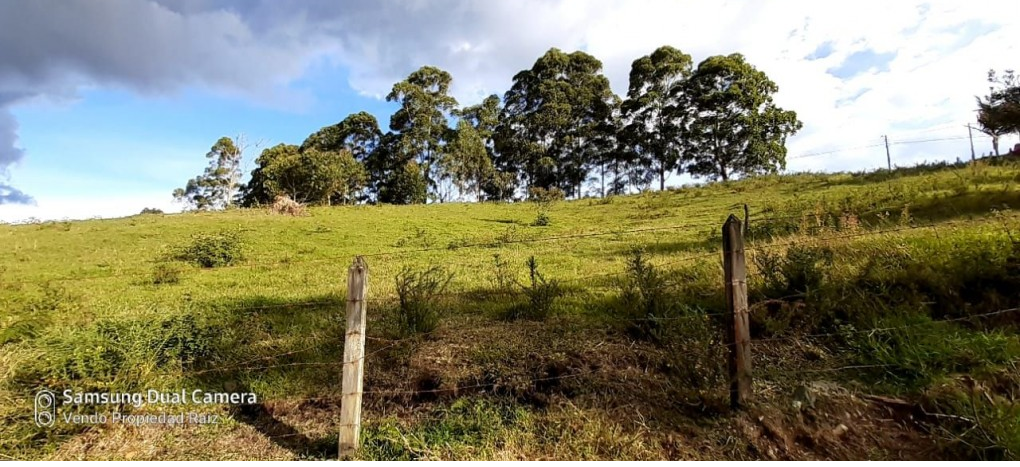 Lote en venta en Cabeceras De Llanogrande, Rionegro, 28422 m² · foto 6 de 11