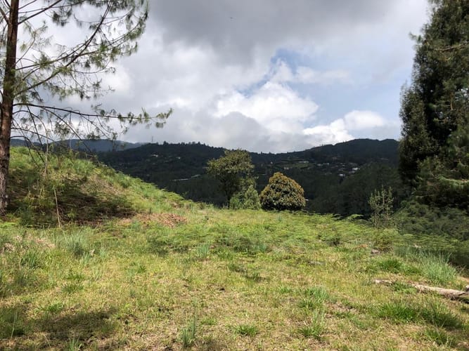 Lote en venta en Loma Del Escobero, Envigado, 8945 m² · foto 9 de 23