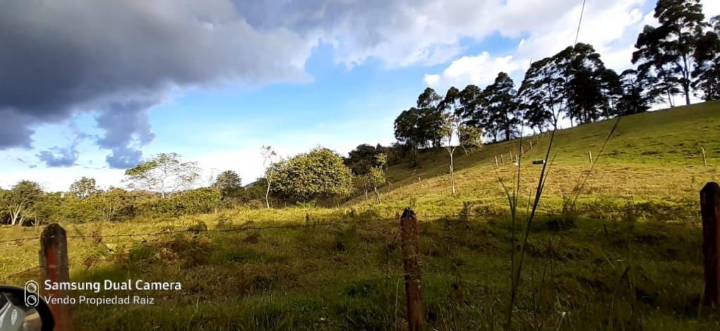 Lote en venta en Cabeceras De Llanogrande, Rionegro, 28422 m² · foto 7 de 11