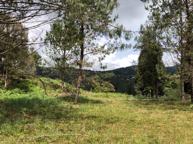 Lote en venta en Loma Del Escobero, Envigado, 8945 m² · foto 10 de 23