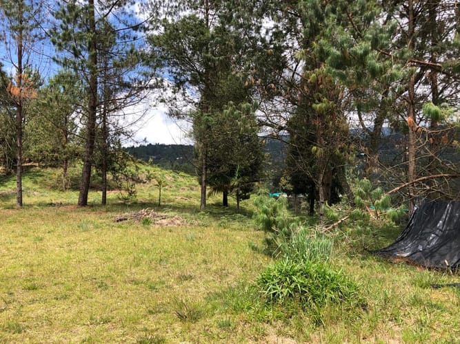 Lote en venta en Loma Del Escobero, Envigado, 8945 m² · foto 11 de 23