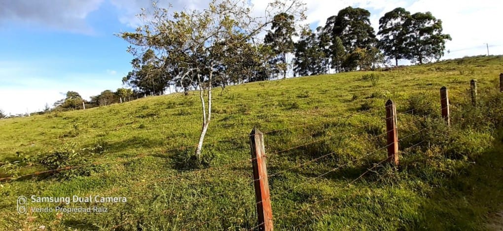 Lote en venta en Cabeceras De Llanogrande, Rionegro, 28422 m² · foto 9 de 11