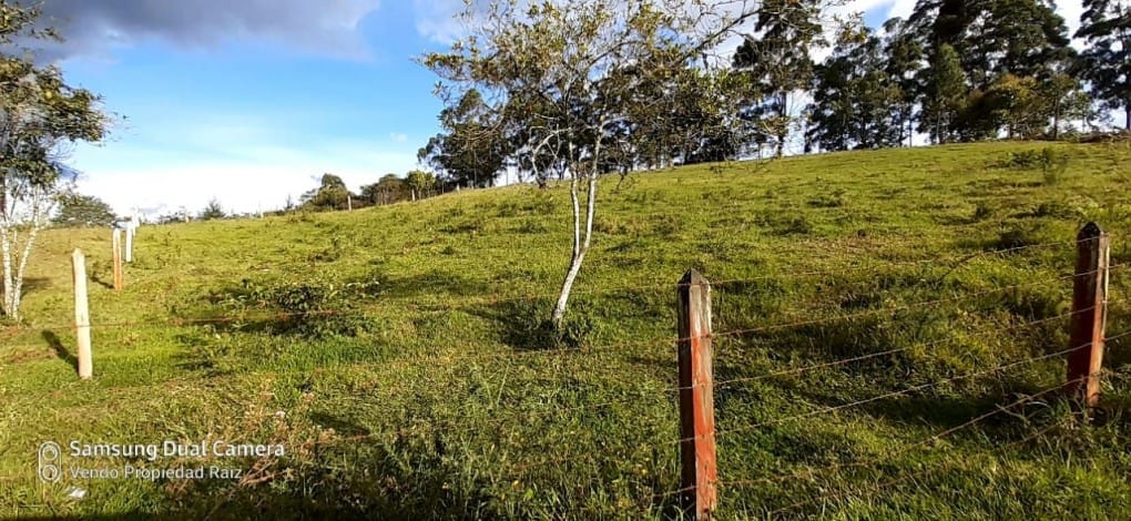 Lote en venta en Cabeceras De Llanogrande, Rionegro, 28422 m² · foto 11 de 11
