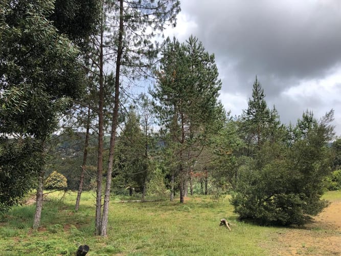 Lote en venta en Loma Del Escobero, Envigado, 8945 m² · foto 13 de 23