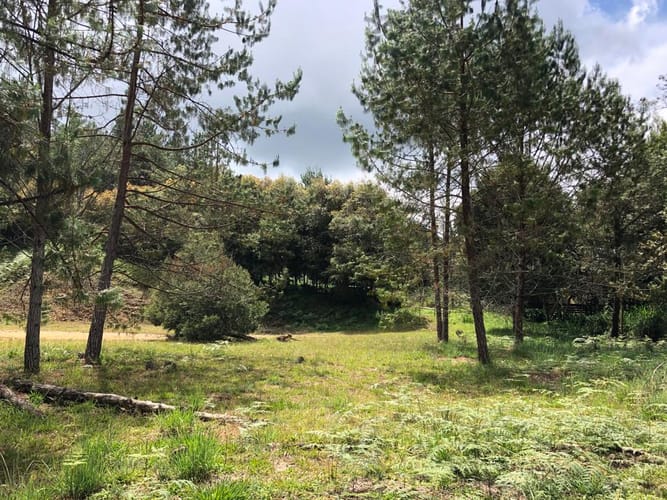 Lote en venta en Loma Del Escobero, Envigado, 8945 m² · foto 14 de 23