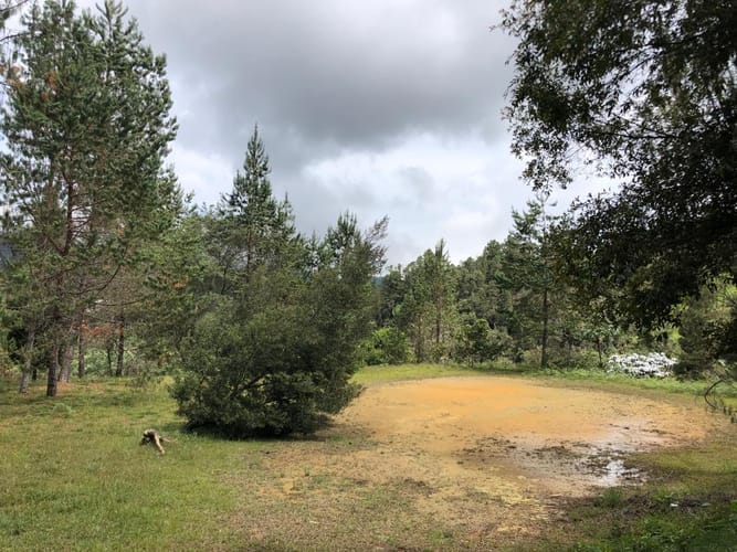 Lote en venta en Loma Del Escobero, Envigado, 8945 m² · foto 16 de 23