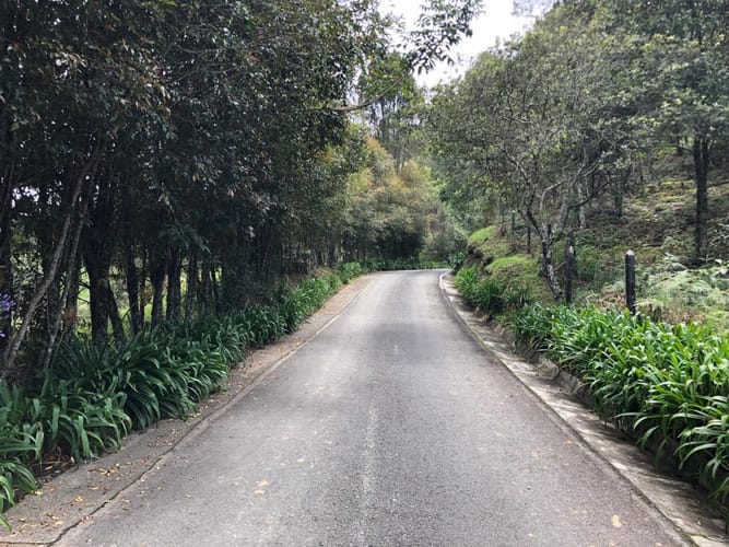 Lote en venta en Loma Del Escobero, Envigado, 8945 m² · foto 19 de 23