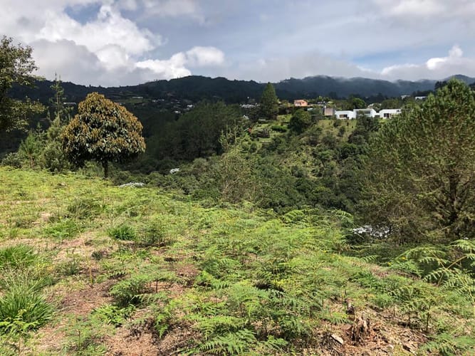 Lote en venta en Loma Del Escobero, Envigado, 8945 m² · foto 20 de 23