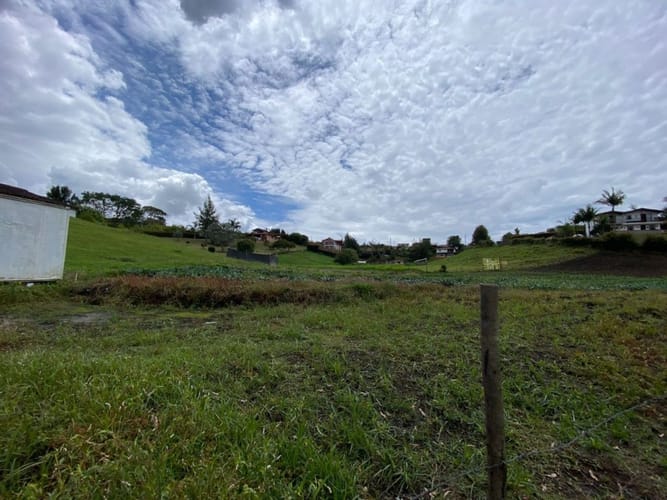 Lote en venta en El Carmen de Viboral, 4954 m² · foto 2 de 8