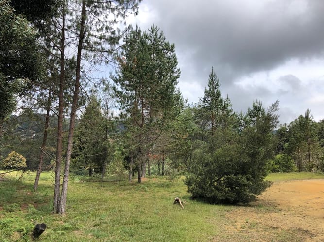Lote en venta en Loma Del Escobero, Envigado, 8945 m² · foto 23 de 23
