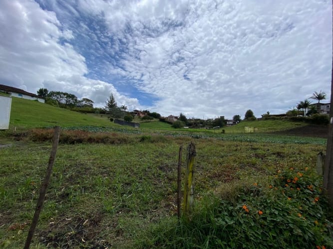 Lote en venta en El Carmen de Viboral, 4954 m² · foto 5 de 8
