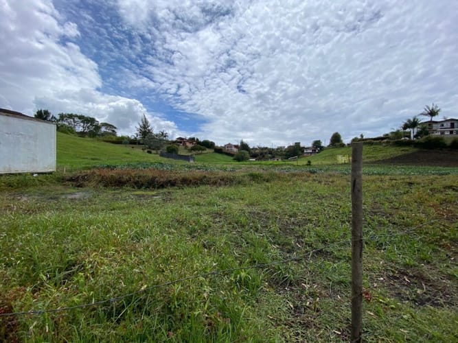 Lote en venta en El Carmen de Viboral, 4954 m² · foto 7 de 8
