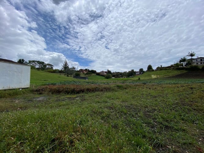 Lote en venta en El Carmen de Viboral, 4954 m² · foto 8 de 8