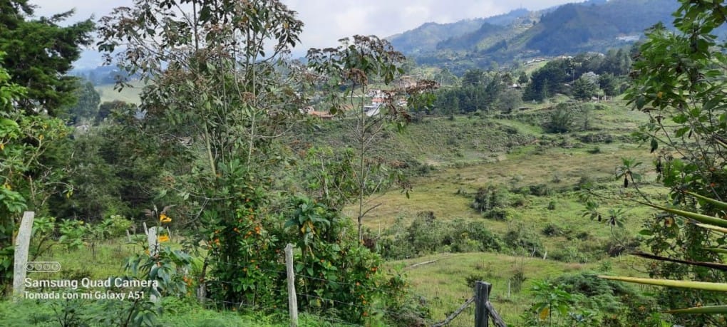 Lote en venta en La Brizuela, Guarne, 67982 m² · foto 3 de 15