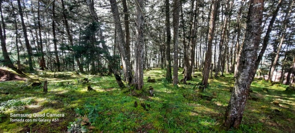 Lote en venta en La Brizuela, Guarne, 67982 m² · foto 4 de 15