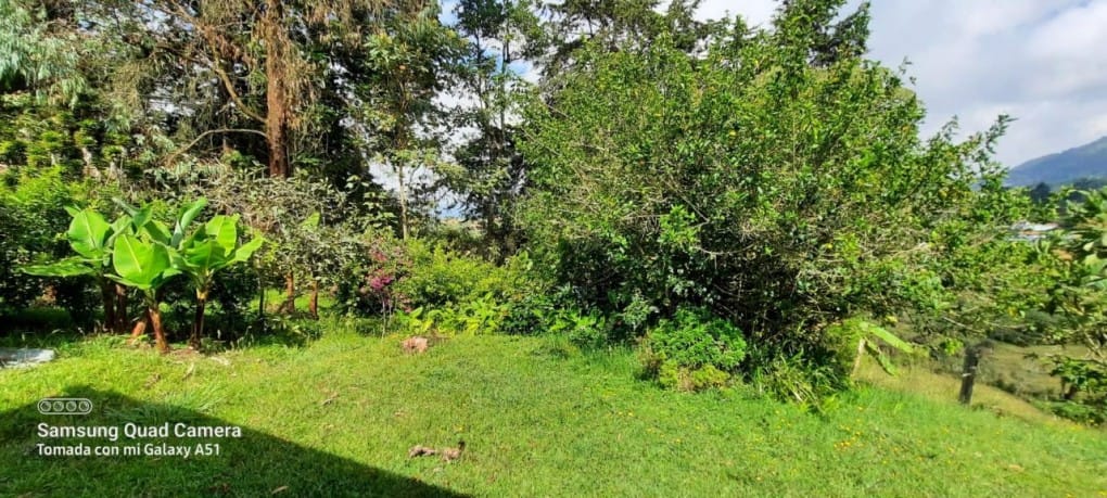 Lote en venta en La Brizuela, Guarne, 67982 m² · foto 5 de 15