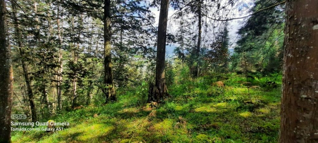 Lote en venta en La Brizuela, Guarne, 67982 m² · foto 6 de 15
