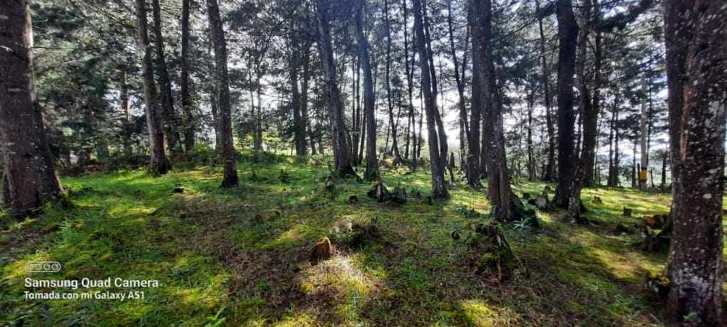 Lote en venta en La Brizuela, Guarne, 67982 m² · foto 7 de 15