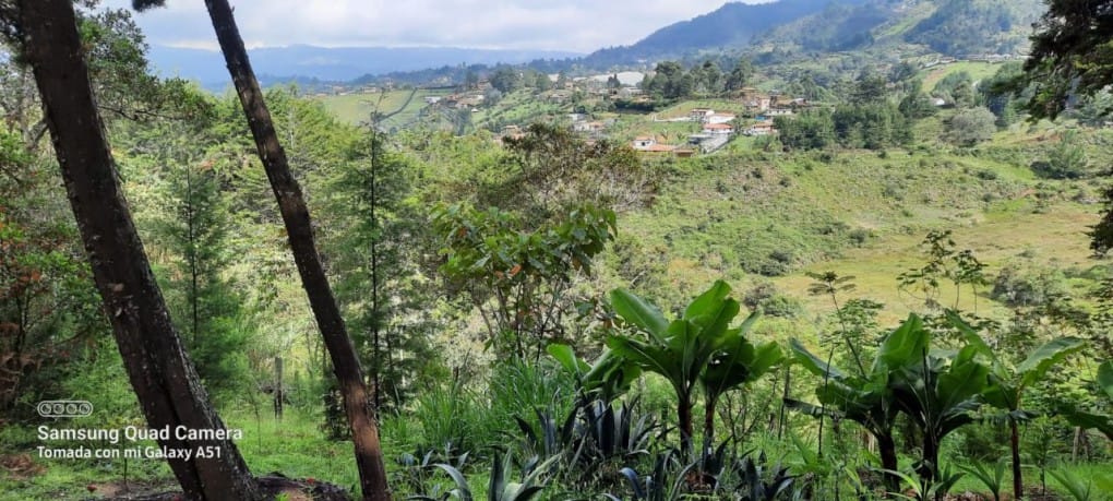Lote en venta en La Brizuela, Guarne, 67982 m² · foto 8 de 15
