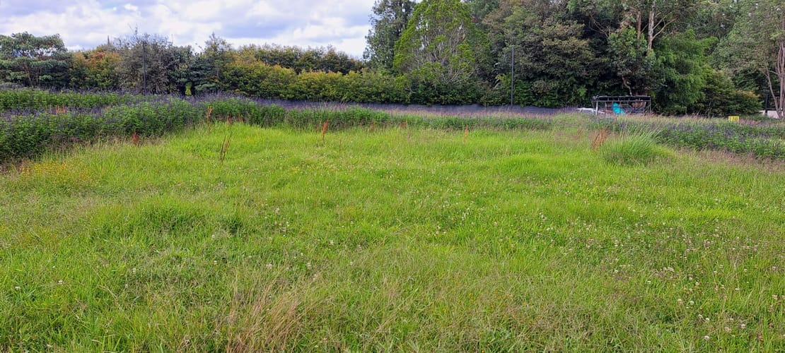 Lote en venta en Llano Grande, Rionegro, 295 m² · foto 2 de 8
