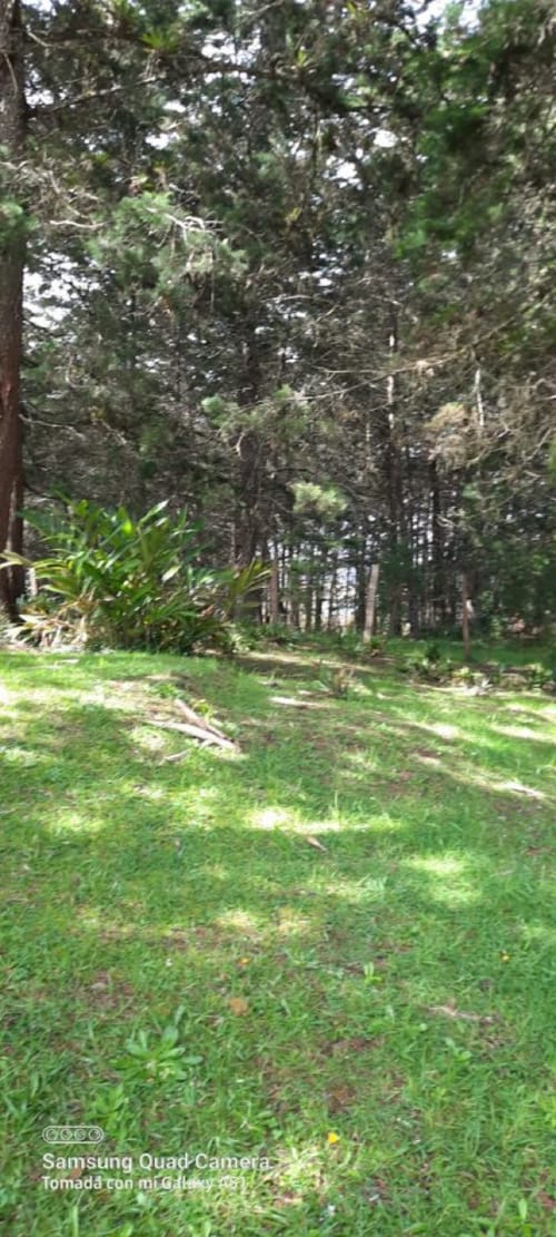 Lote en venta en La Brizuela, Guarne, 67982 m² · foto 10 de 15