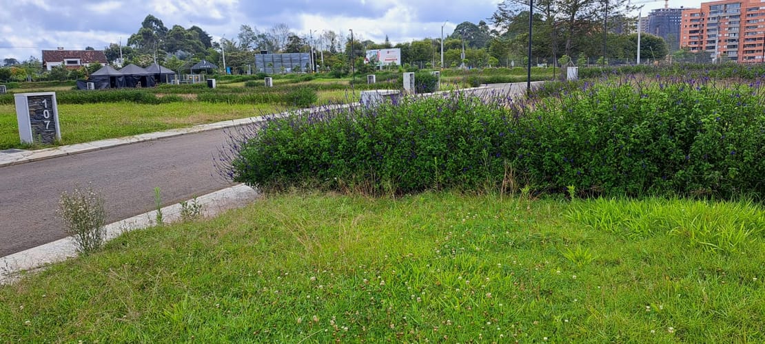 Lote en venta en Llano Grande, Rionegro, 295 m² · foto 5 de 8