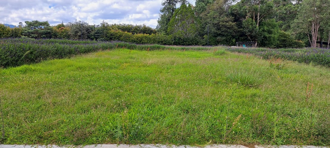 Lote en venta en Llano Grande, Rionegro, 295 m² · foto 6 de 8