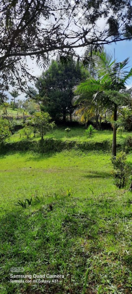 Lote en venta en La Brizuela, Guarne, 67982 m² · foto 12 de 15