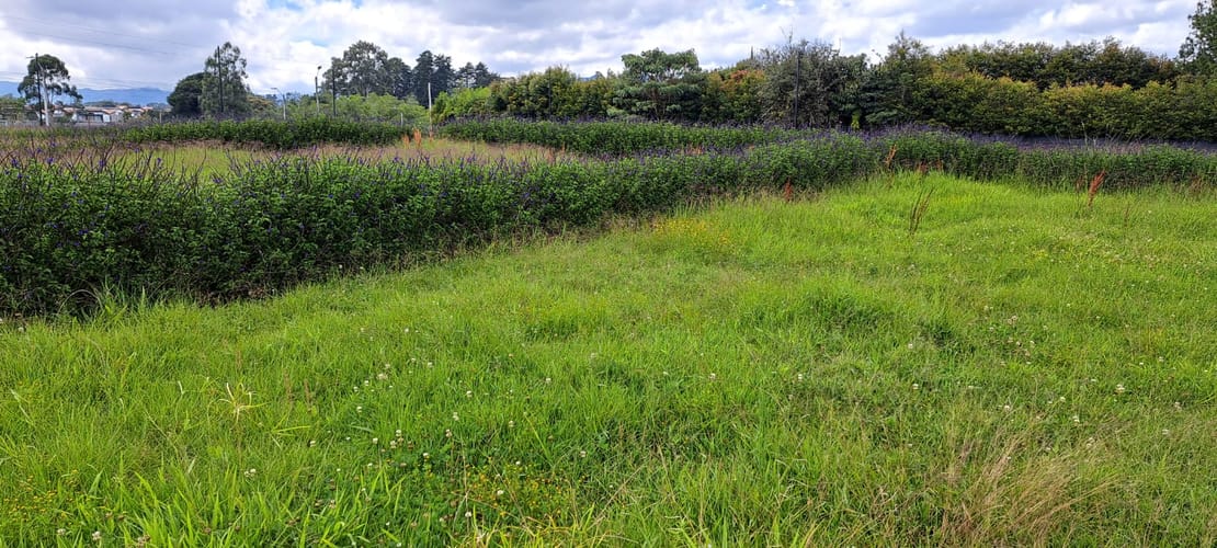 Lote en venta en Llano Grande, Rionegro, 295 m² · foto 7 de 8