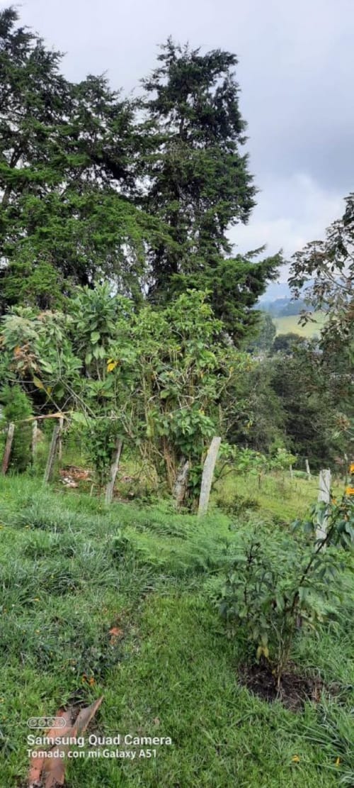 Lote en venta en La Brizuela, Guarne, 67982 m² · foto 13 de 15