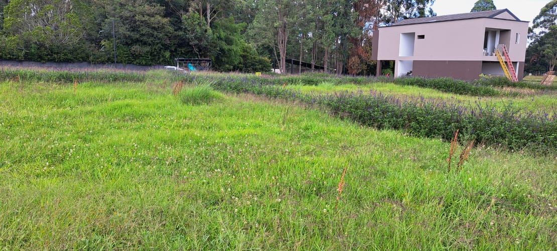 Lote en venta en Llano Grande, Rionegro, 295 m² · foto 8 de 8