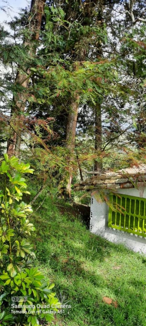 Lote en venta en La Brizuela, Guarne, 67982 m² · foto 15 de 15