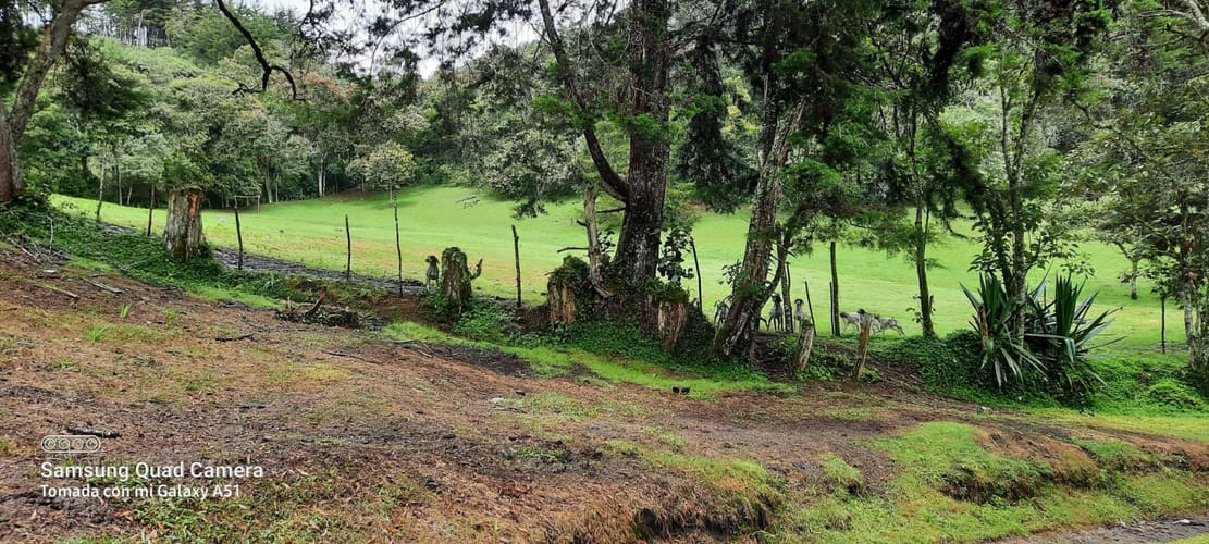 Finca en venta en San Nicolas, La Ceja, 51000 m² · foto 13 de 18