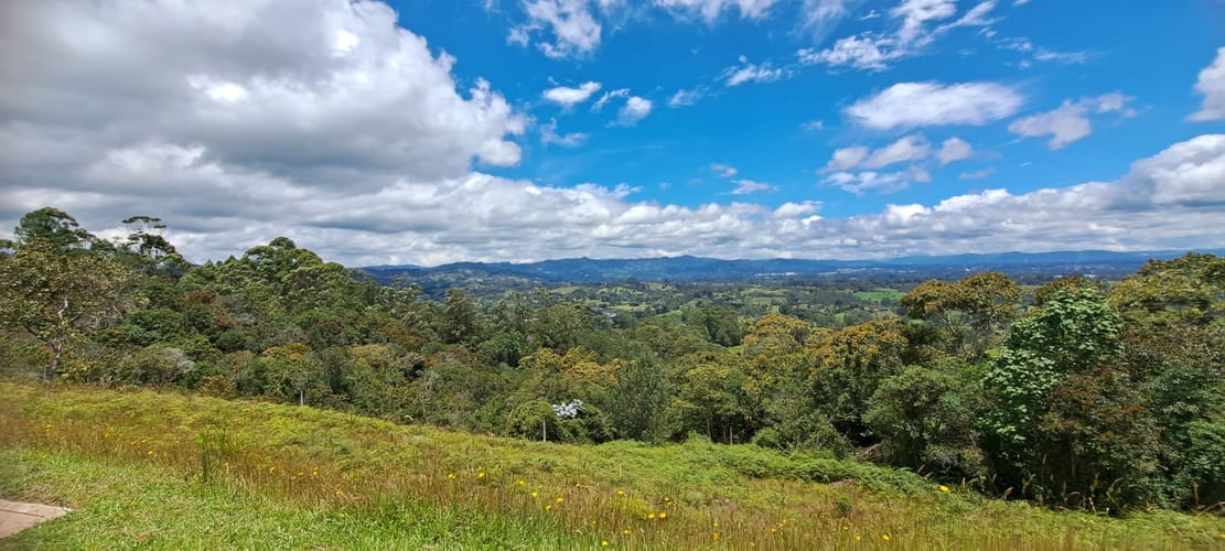 Lote en venta en El Capiro, Rionegro, 10042 m² · foto 3 de 24