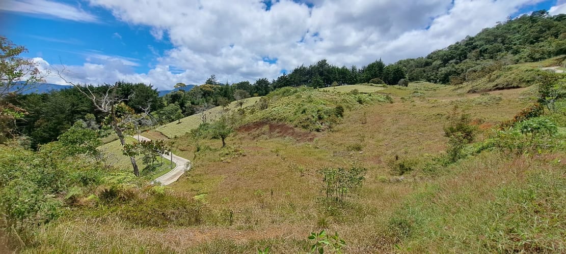 Lote en venta en El Capiro, Rionegro, 10042 m² · foto 7 de 24