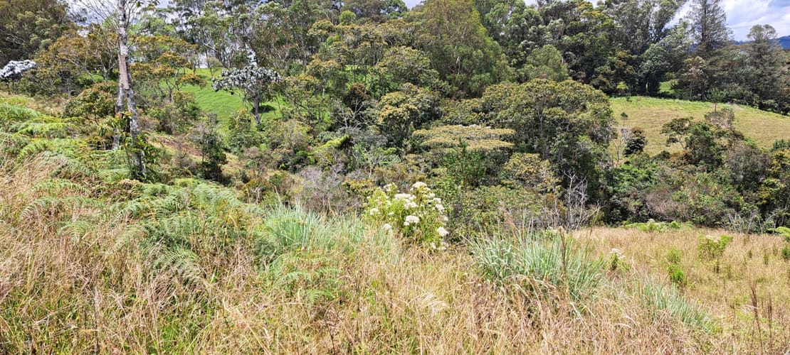 Lote en venta en El Capiro, Rionegro, 10042 m² · foto 8 de 24