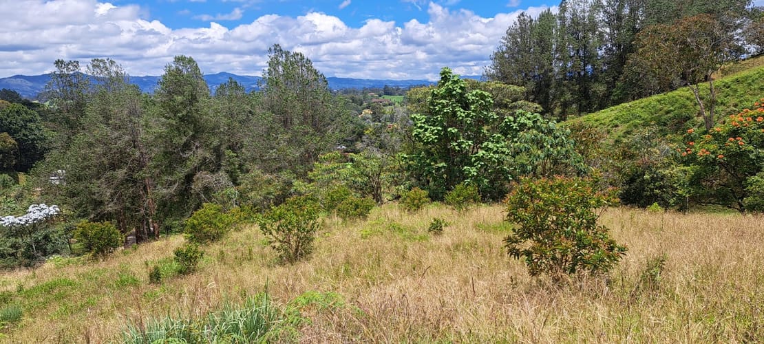 Lote en venta en El Capiro, Rionegro, 10042 m² · foto 10 de 24