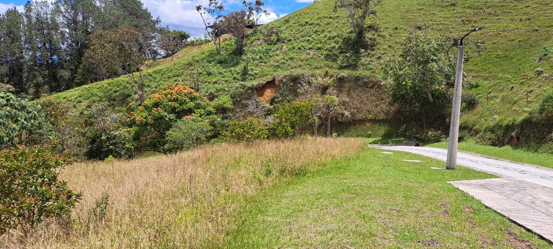 Lote en venta en El Capiro, Rionegro, 10042 m² · foto 12 de 24