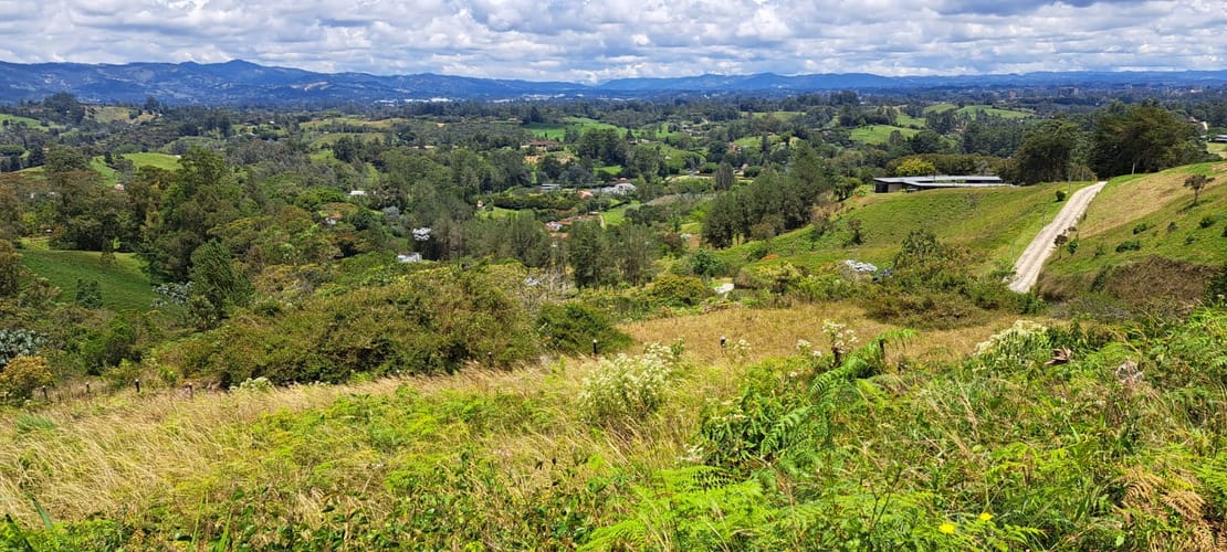 Lote en venta en El Capiro, Rionegro, 10042 m² · foto 14 de 24