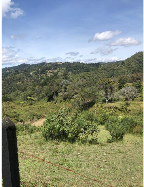 Lote en venta en Sajonia, Rionegro · foto 2 de 24