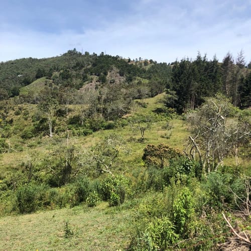Lote en venta en Sajonia, Rionegro · foto 4 de 24