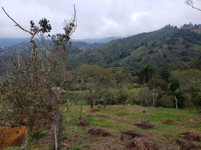 Lote en venta en Sajonia, Rionegro · foto 7 de 24