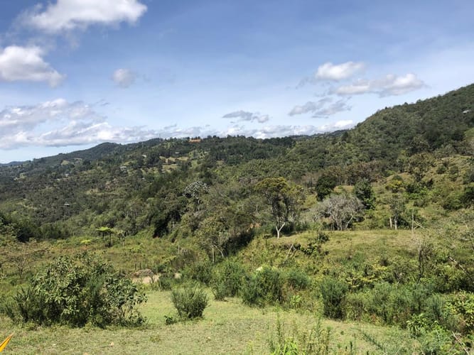 Lote en venta en Sajonia, Rionegro · foto 8 de 24