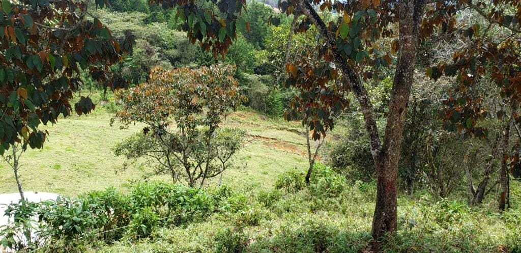 Lote en venta en Sajonia, Rionegro · foto 10 de 24