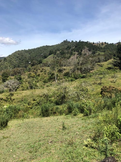 Lote en venta en Sajonia, Rionegro · foto 11 de 24