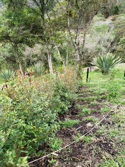 Lote en venta en Sajonia, Rionegro · foto 13 de 24