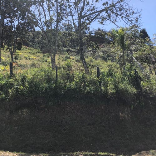 Lote en venta en Sajonia, Rionegro · foto 15 de 24